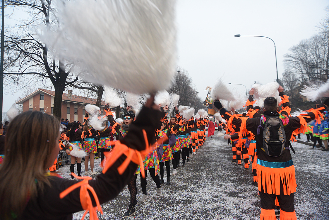 Sfilata carri Carnevale di Torino_412.jpg